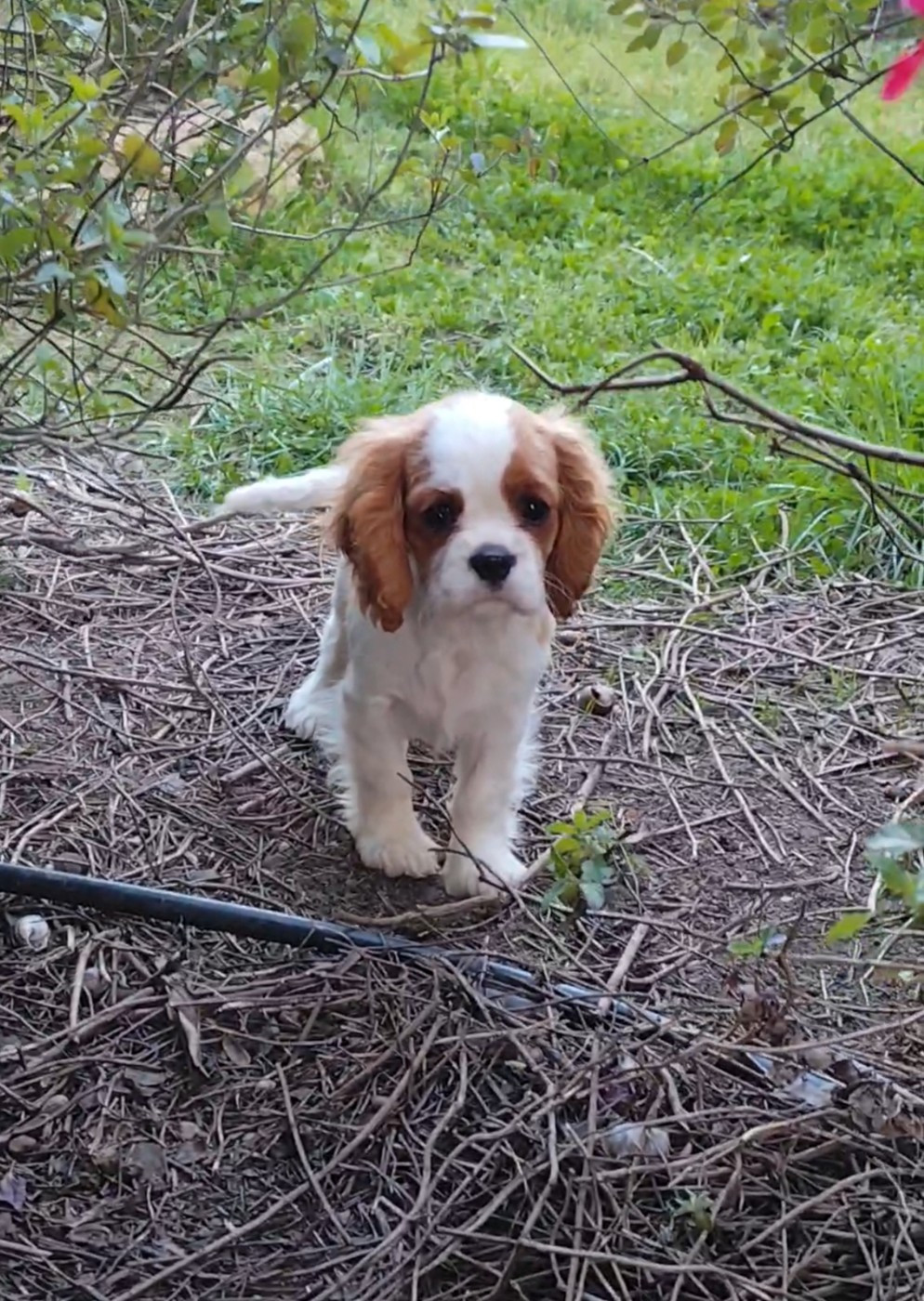 A Kiss From France Of little by little